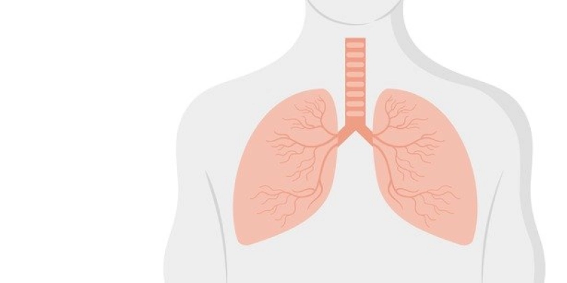 Comitê vai acompanhar encomenda tecnológica para teste portátil de tuberculose