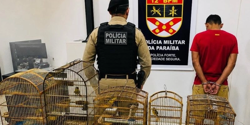 Polícia militar prende homem e apreende drogas, aves silvestres e celular em Catolé do Rocha