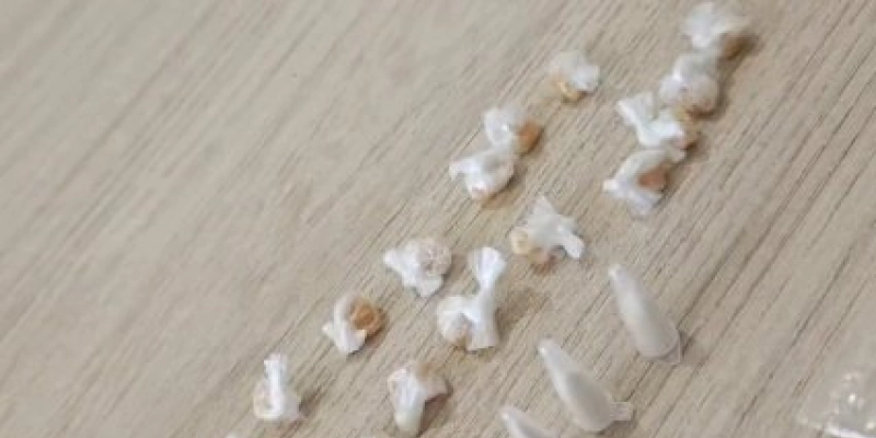 Homem é preso com crack e cocaína durante abordagem da PM em Cajazeiras