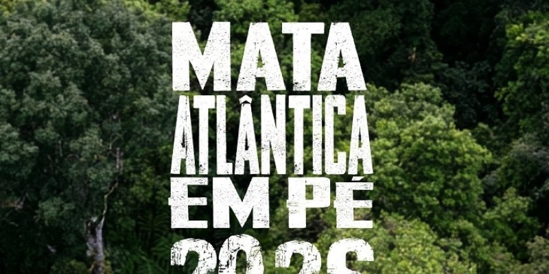 Operação autua mais de 230 hectares de desmatamento ilegal na Paraíba; multas passam de R$ 2 milhões