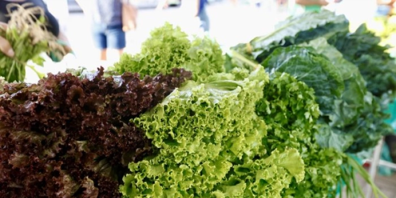 Prefeitura de João Pessoa divulga programação da Feira da Agricultura Familiar no mês de setembro