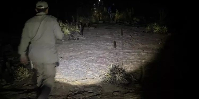 Homem é resgatado após cair e bater a cabeça em área de mata