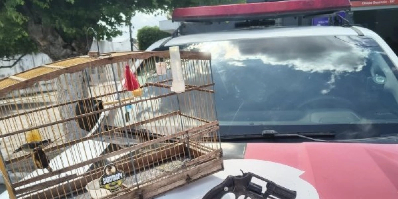 Homem é preso com arma de fogo e ave silvestre mantida ilegalmente em cativeiro na Paraíba