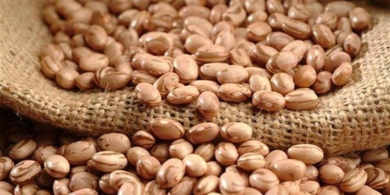 Produção brasileira de grãos deve aumentar apesar do El Niño