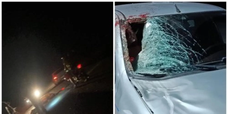 Cavalo morre após ser atingido por veículo na PB-395 em Santa Helena