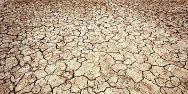 BNB negocia dívidas de produtores rurais prejudicados por eventos climáticos até dia 12