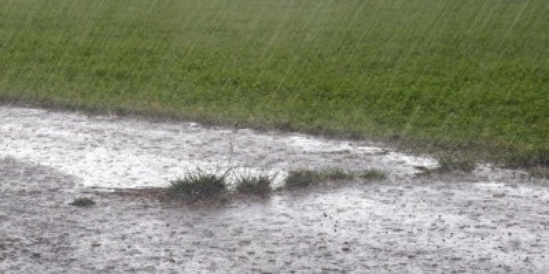 Chuva acima da média em janeiro aumenta umidade do solo no Nordeste e Sudeste