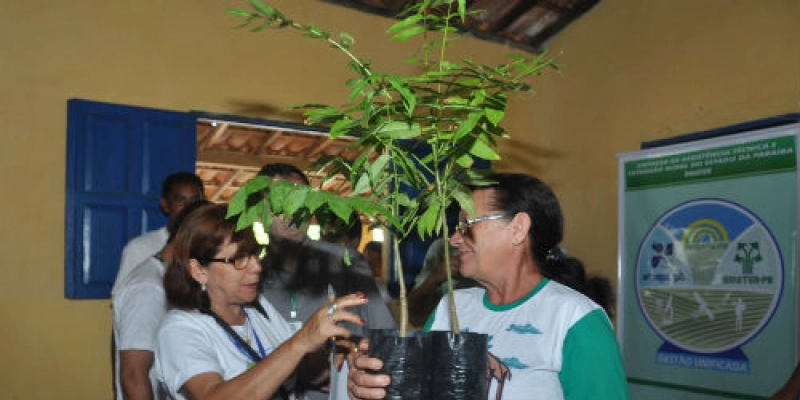 Ecoprodutivo contribui para o fortalecimento da agricultura familiar na Paraíba