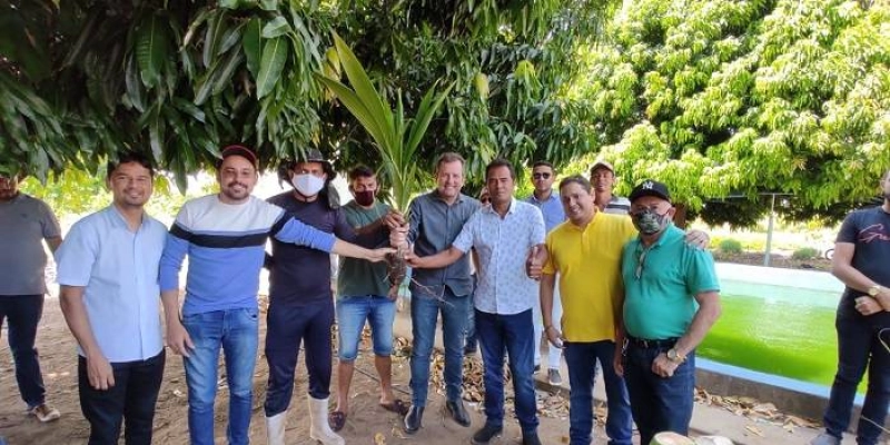 Colonos recebem 7 mil mudas de coco fornecidas pelo Prefeitura de Sousa