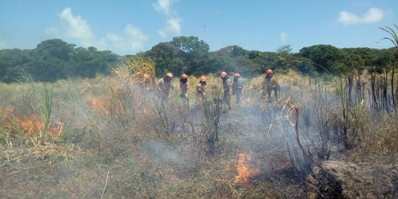 Bombeiros realizam capacitação em combate a incêndios florestais