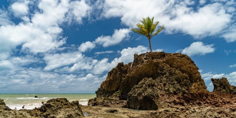 Destino Paraíba promove atrativos turísticos na convenção da Operadora BWT, na Bahia