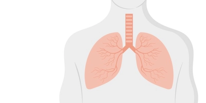 Saúde alerta para aumentos de casos por vírus respiratórios e reforça a importância da vacinação