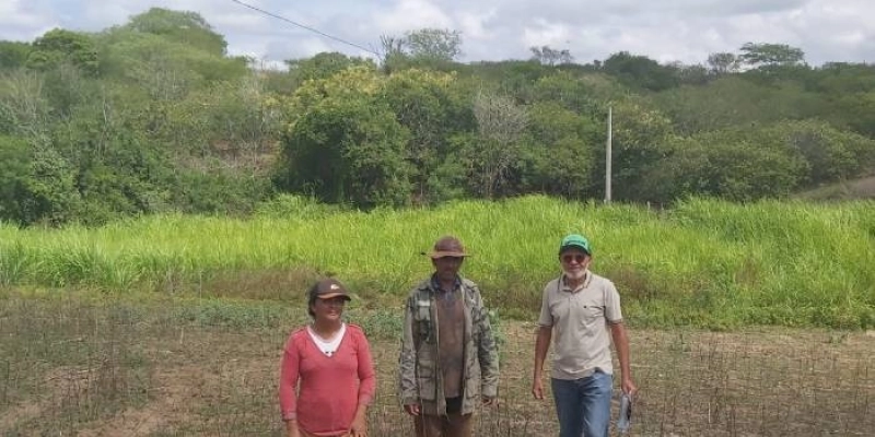 Governo constrói barragem subterrânea e incentiva agricultura familiar em Queimadas