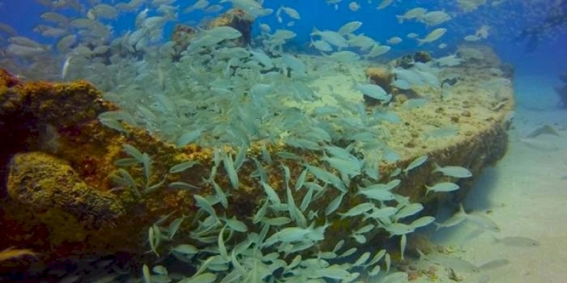 Área de Proteção Ambiental Naufrágio Queimado passa a integrar projeto de preservação do Governo Federal