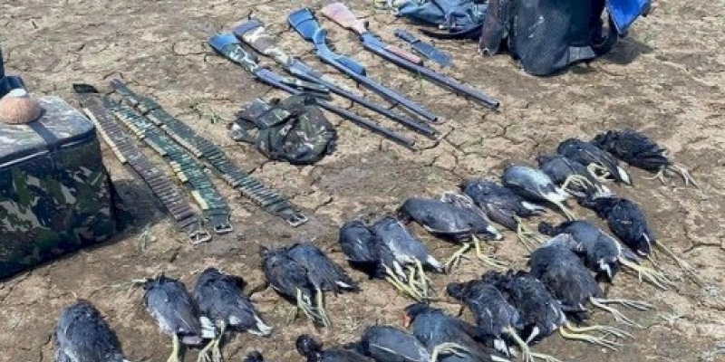 Polícia apreende quatro armas de fogo e vinte e seis animais abatidos, no Sertão paraibano 