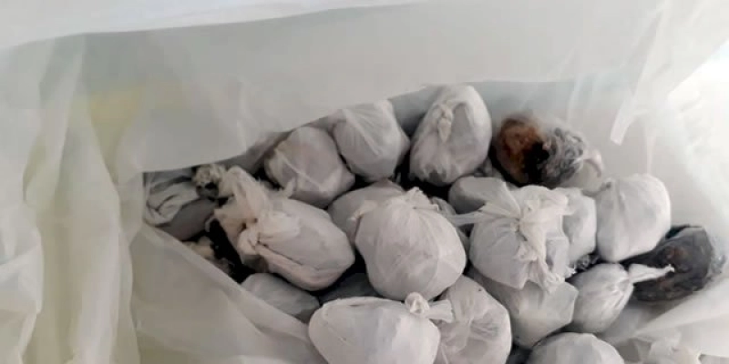 Polícia frustra possível arremesso de droga para o interior da Cadeia de Pombal