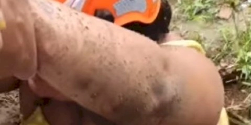 Mulher é resgatada pelo Corpo de Bombeiros ao cair em buraco com mais de 2 m de profundidade 