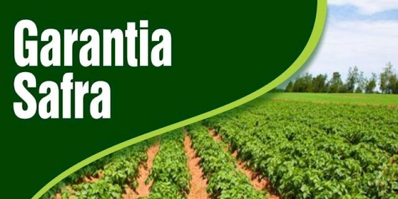 Divulgado o calendário para as inscrições do Seguro Safra 2022/23 em São José da Lagoa Tapada; Confira 