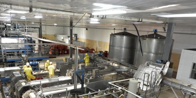 Comércio Exterior da Paraíba: empresa de sucos e polpas de frutas é case de sucesso no estado