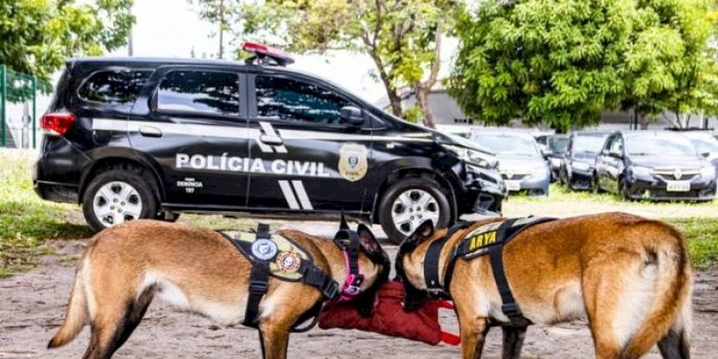 Delegado-Geral recebe policiais para anunciar implantação de Canil na Polícia Civil da Paraíba