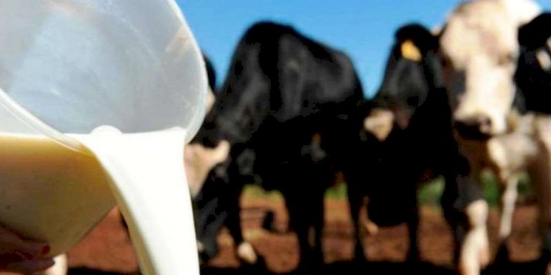 João Azevêdo anuncia ampliação do subsídio estadual para produtores de leite
