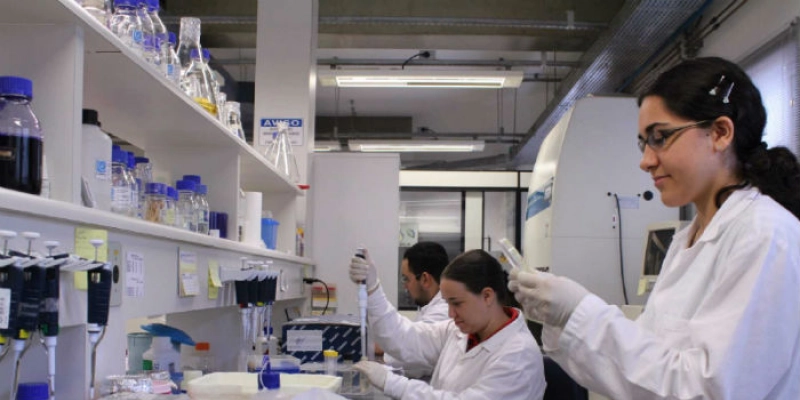 CNPq diz que só terá verba para bolsas em 2019