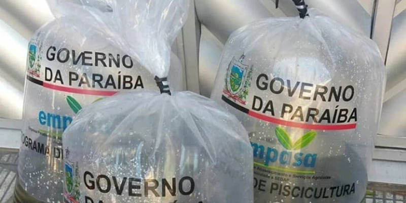 Estado distribui mais de 4 milhões de alevinos para produtores da agricultura familiar