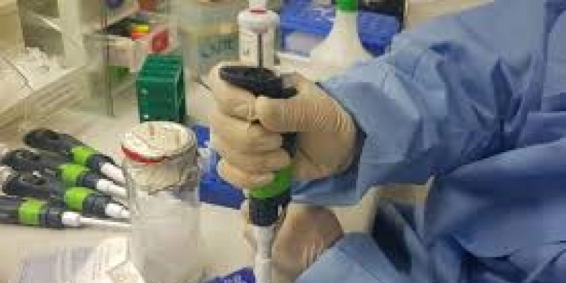 Mulheres e crianças infectadas por Zika desenvolvem imunidade ao vírus