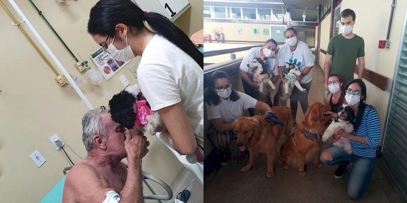 Hospital de Trauma de João Pessoa retoma terapia com cães para ajudar na recuperação de pacientes
