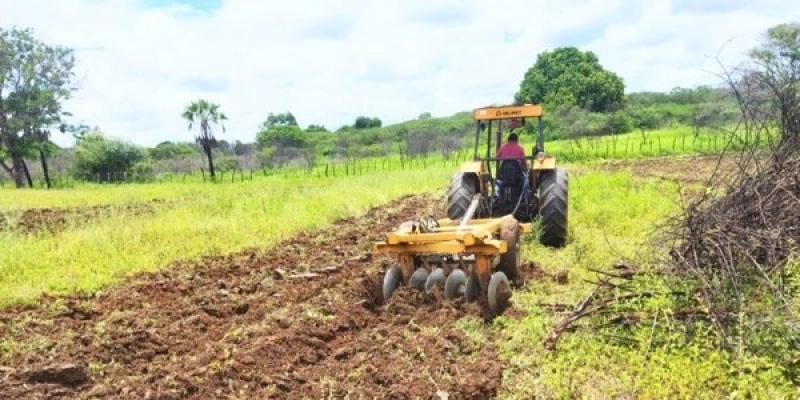  Inadimplência atinge 30,4% dos produtores Rurais na Paraíba, aponta Serasa 