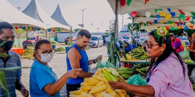 Agricultores se preparam para Festival do Milho em João Pessoa