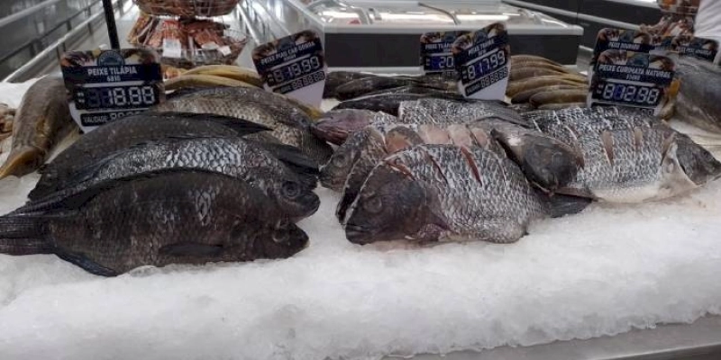 Procon-JP registra diferença de R$ 90,00 no preço do filé de camarão em pesquisa para pescados