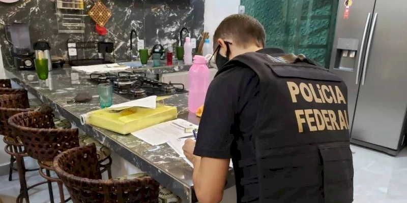 PF cumpre mandados na Paraíba e Pará contra desmatamento ilegal e comércio de madeira clandestina
