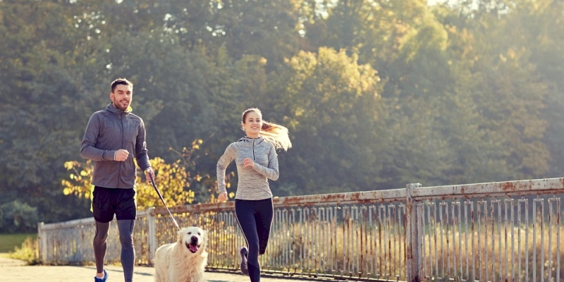 SESI Runners realiza corrida de cães e donos neste domingo, 17
