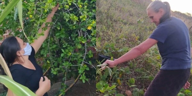 Quintais Produtivos geram alimentos saudáveis e renda para agricultores de Vieirópolis