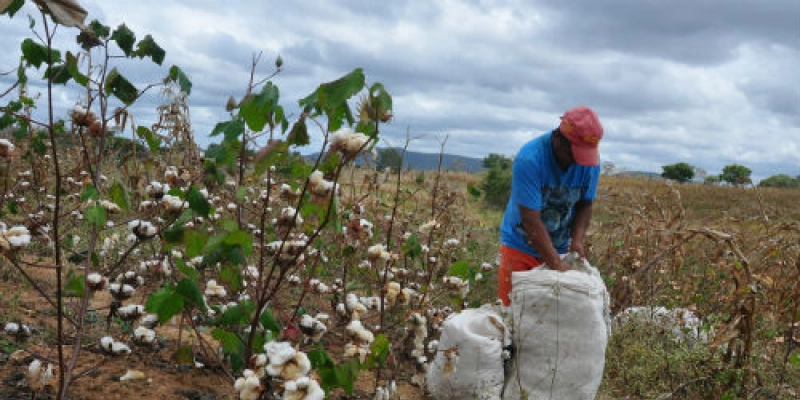 Missão técnica da Bolívia vem à Paraíba conhecer metodologias de Extensão Rural