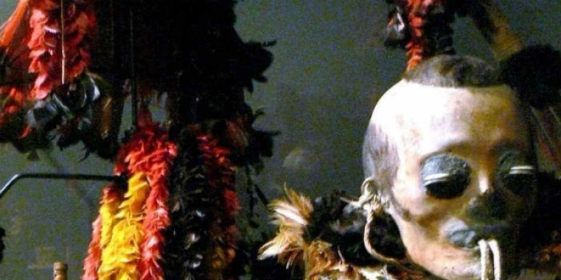 Museu de Viena expõe cabeça de índio brasileiro e vira alvo de críticas
