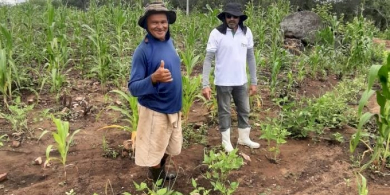 Assistência técnica continuada da Empaer garante aumento de produção e renda de agricultores