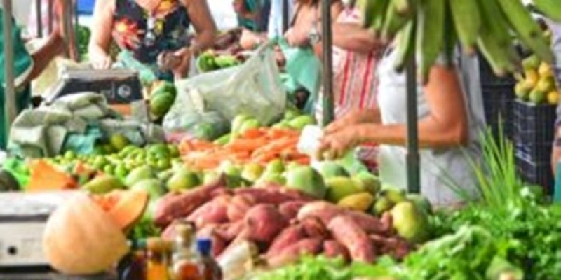 CECAF E CONAFER: 764 toneladas de alimentos são escoadas em 2023, em gestão compartilhada do espaço