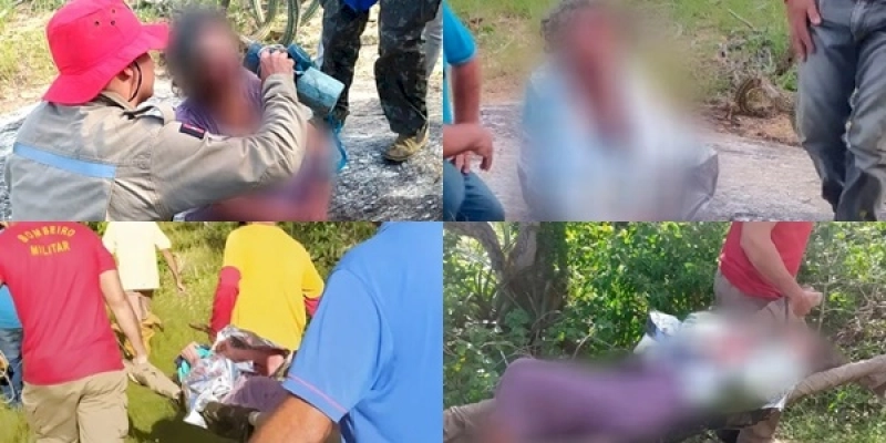 Com ajuda de Cadela, Corpo de Bombeiros localiza e resgata idosa que estava desaparecida 