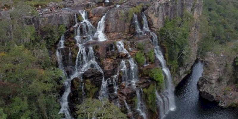 Saiba qual é a relação entre as conferências do clima e da biodiversidade