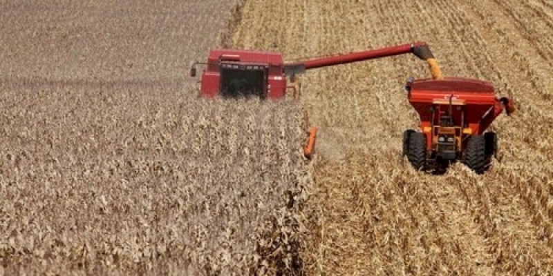 Valor da produção agropecuária de 2022 está estimado em R$ 1,207 trilhão