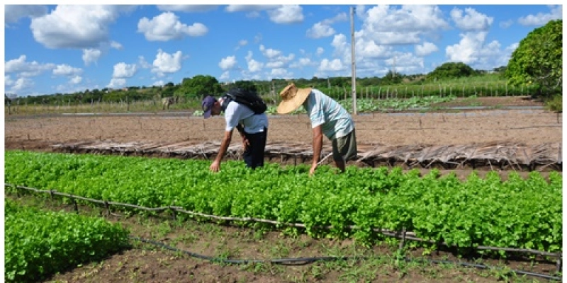 Paraíba lidera aplicação de crédito do Pronaf Agroecologia no País