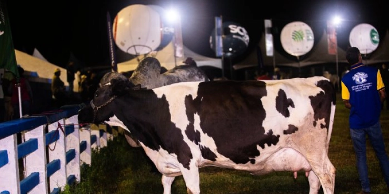 54ª Expapi é opção de lazer e cultura neste fim de semana em Campina Grande