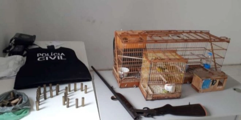 Polícia Civil apreende arma e aves silvestres na Zona Rural de Pombal 