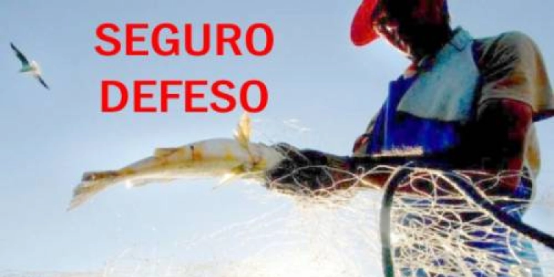 Seguro-defeso tem fraude em 65% dos benefícios, declara presidente