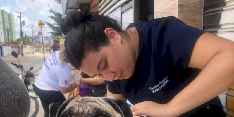 Paraíba prorroga a Campanha de Vacinação contra a Raiva Animal