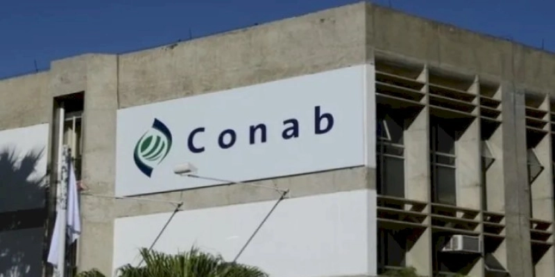 Conab aponta aumento de 4,4% na produção de cana-de-açúcar na safra 2022/23, estimada em 598,3 milhões de toneladas 