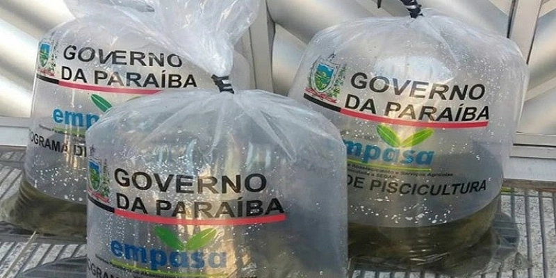 Programa de peixamento do Governo da Paraíba beneficia 150 famílias de Cajazeirinhas com distribuição de alevinos