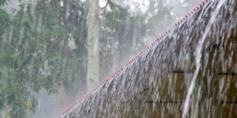 Dezembro/2023 foi marcado por diversos episódios de chuva com impactos no agronegócio